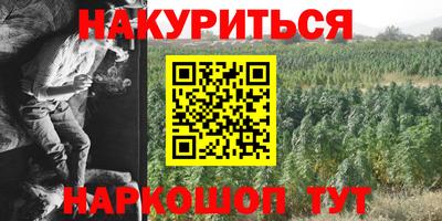 молекула духа Донецк