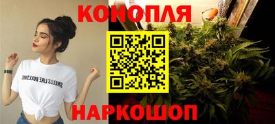 хмурый Дубна